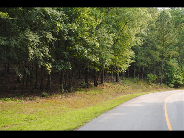 Image of Property